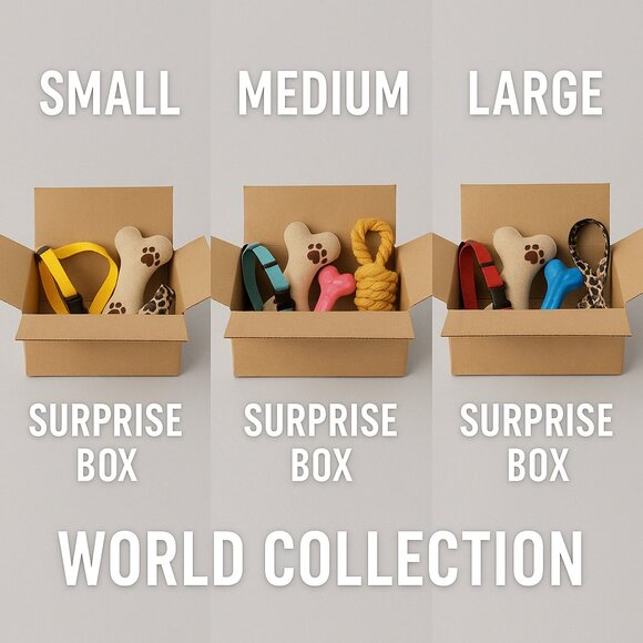 Animal Accessories Assorted Surprise Boxes - Picture 1 of 1